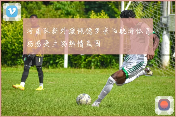 河南队新外援佩德罗亲临航海体育场感受主场热情氛围